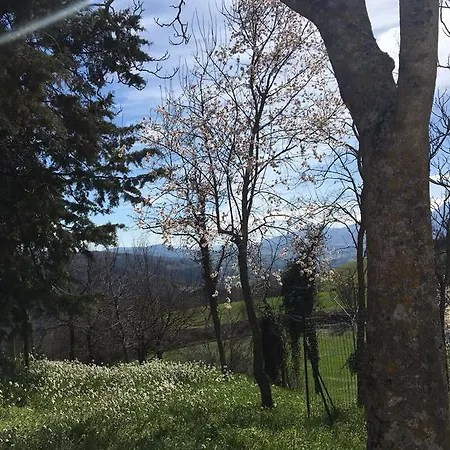 Tenuta Ca'gione Smirra