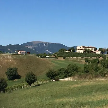 Tenuta Ca'gione
